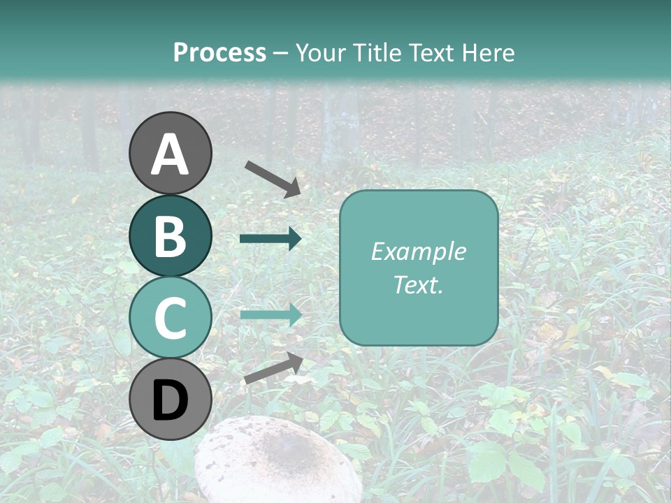 Mushroom In The Forest PowerPoint Template