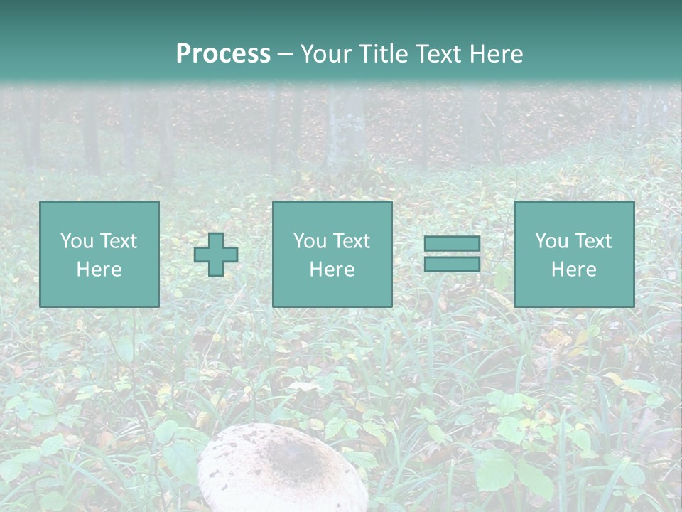 Mushroom In The Forest PowerPoint Template