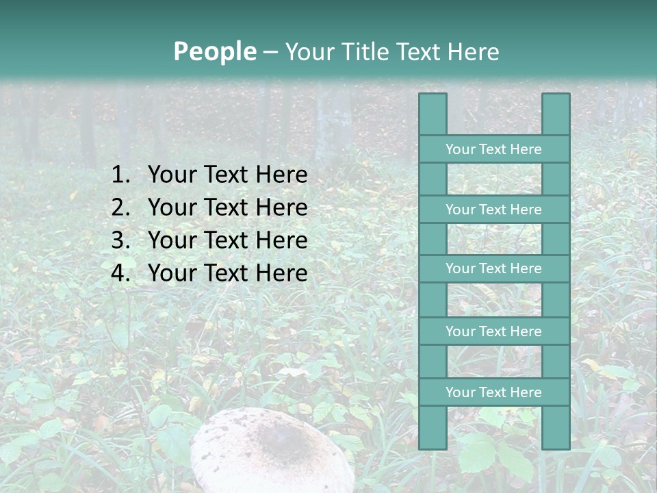 Mushroom In The Forest PowerPoint Template