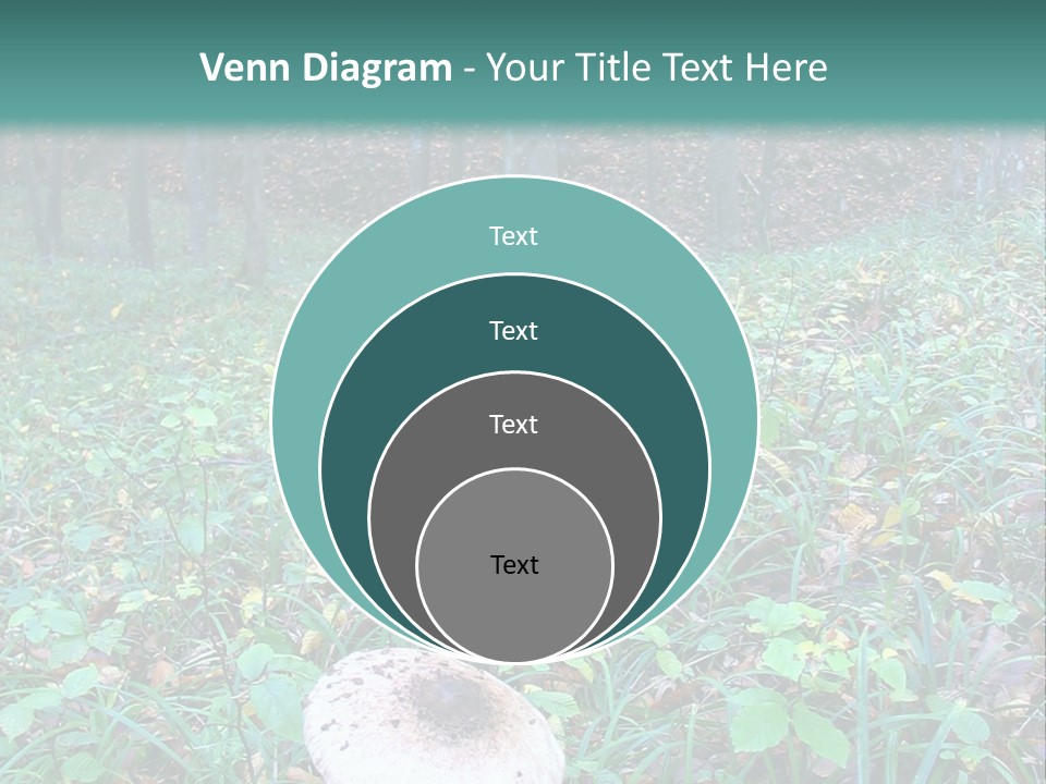 Mushroom In The Forest PowerPoint Template