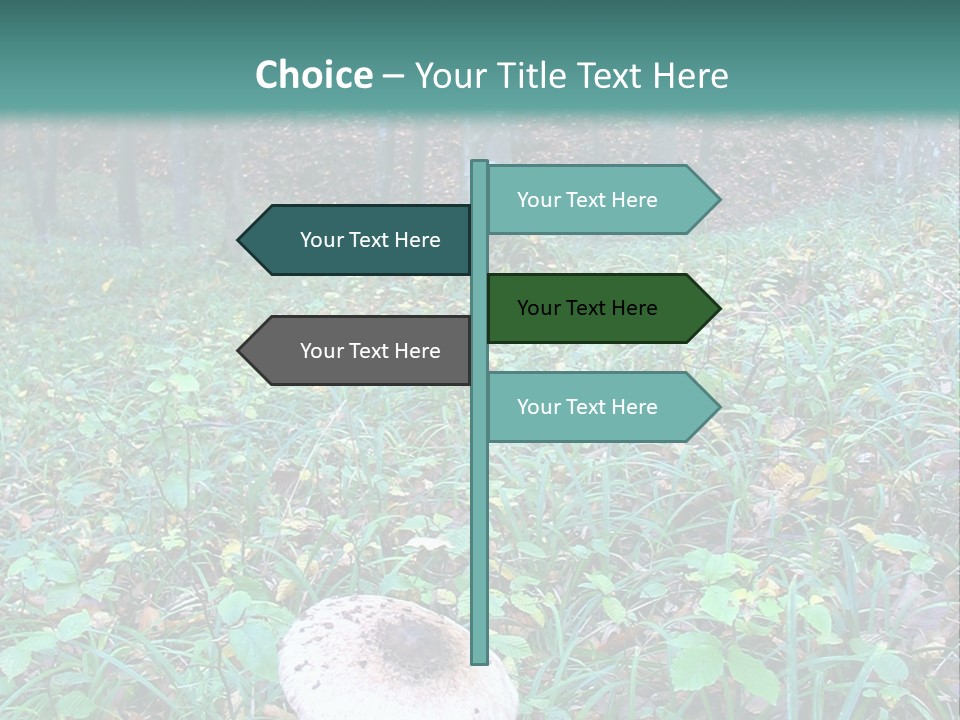 Mushroom In The Forest PowerPoint Template
