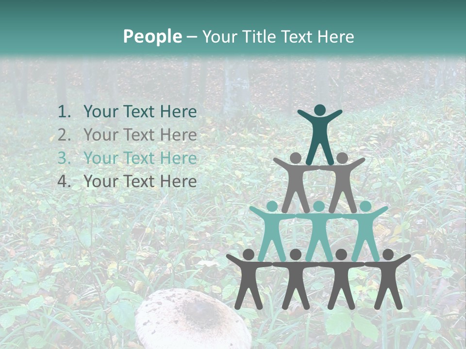 Mushroom In The Forest PowerPoint Template