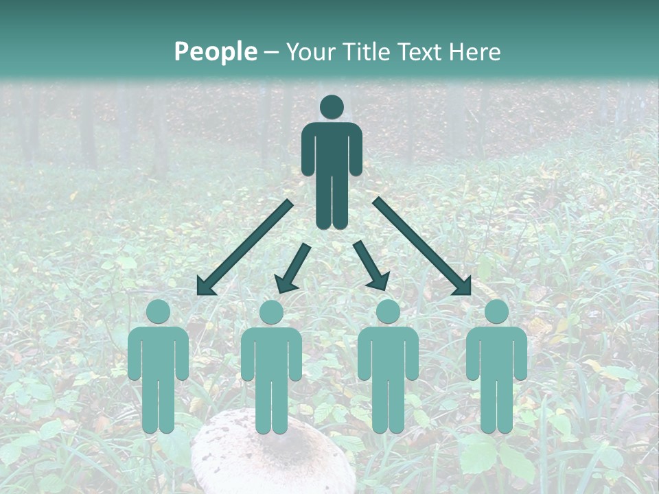 Mushroom In The Forest PowerPoint Template