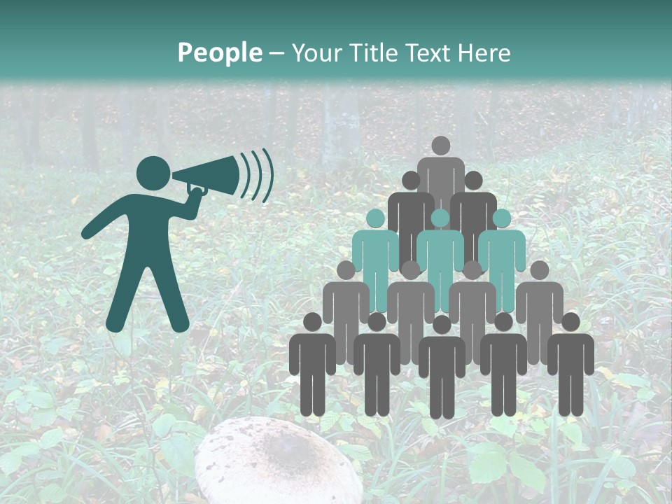 Mushroom In The Forest PowerPoint Template