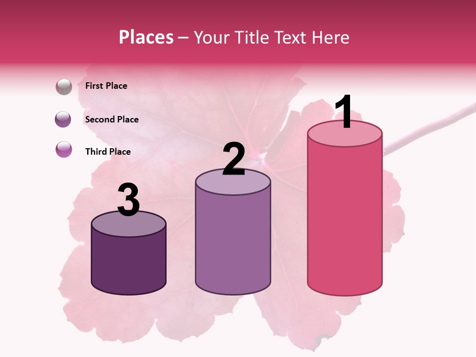 A Magenta Leaf Isolated On A White Background PowerPoint Template