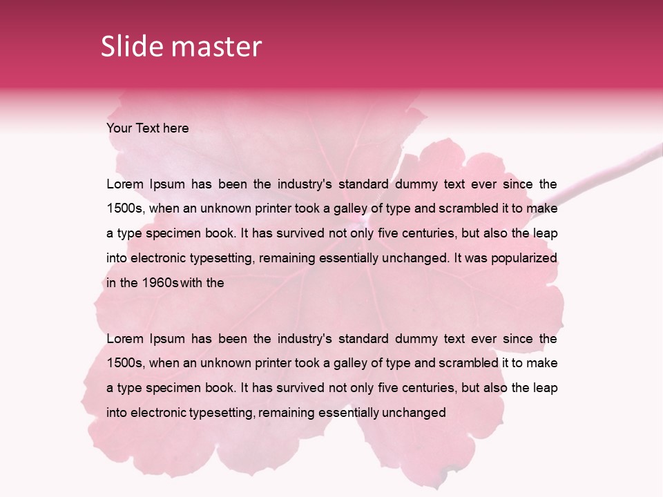 A Magenta Leaf Isolated On A White Background PowerPoint Template