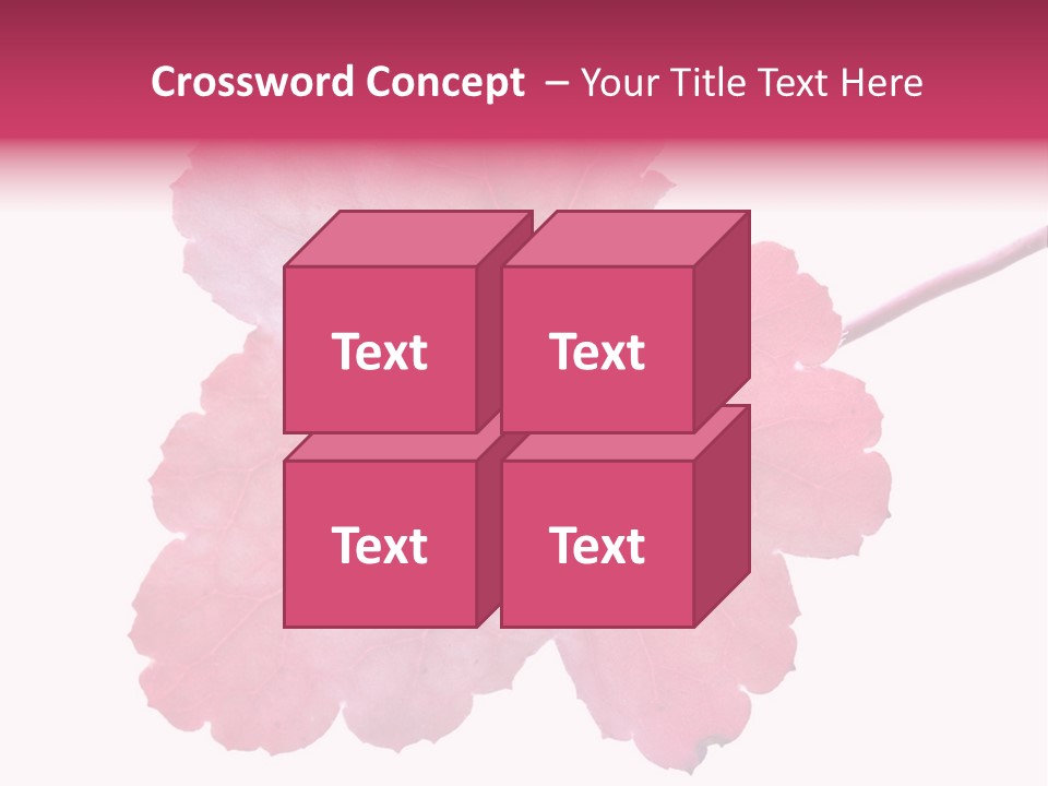 A Magenta Leaf Isolated On A White Background PowerPoint Template