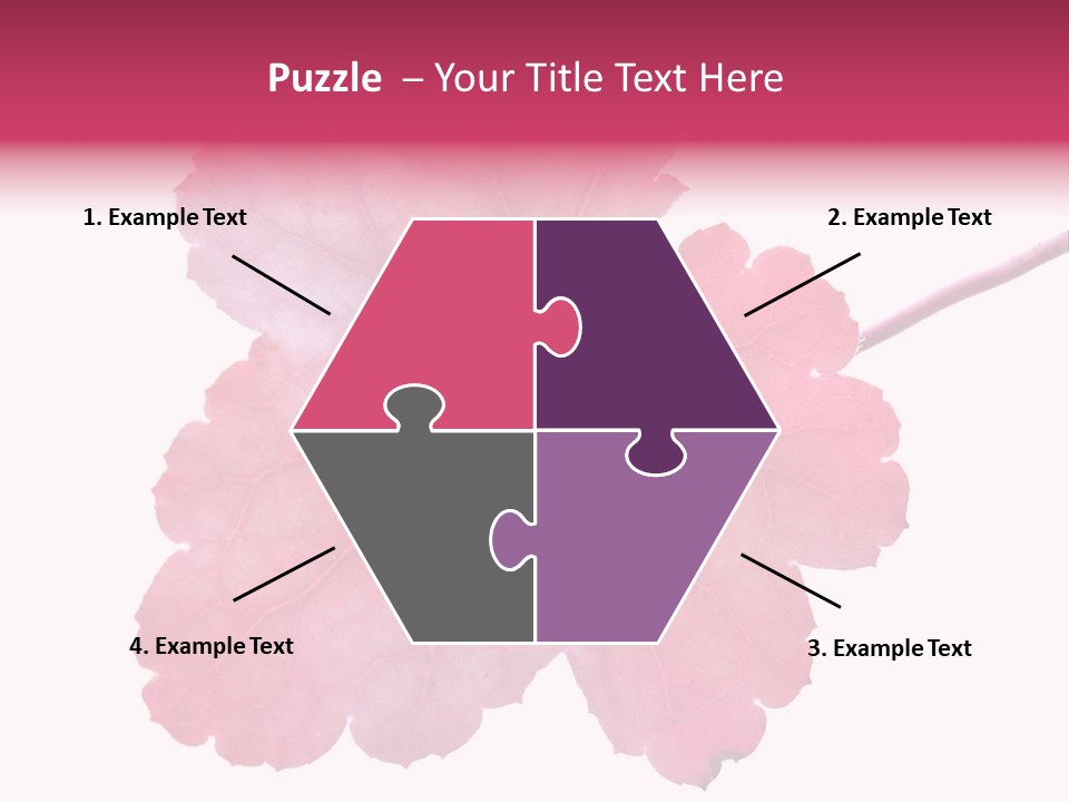 A Magenta Leaf Isolated On A White Background PowerPoint Template