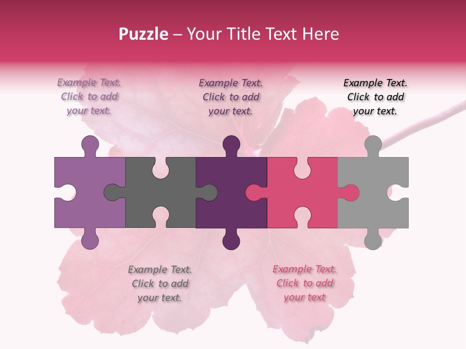 A Magenta Leaf Isolated On A White Background PowerPoint Template