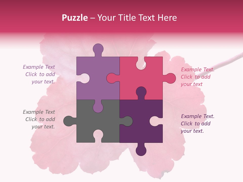 A Magenta Leaf Isolated On A White Background PowerPoint Template