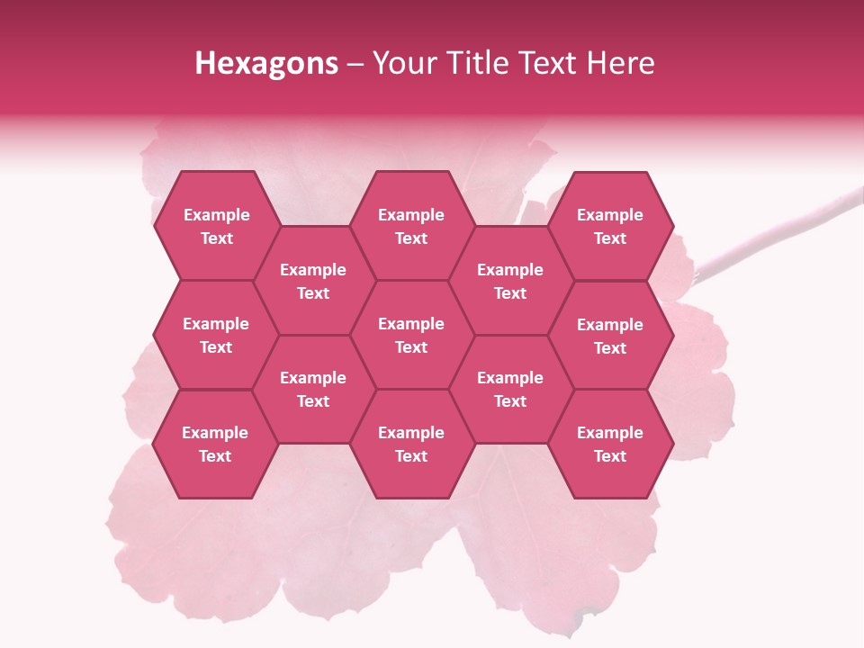 A Magenta Leaf Isolated On A White Background PowerPoint Template