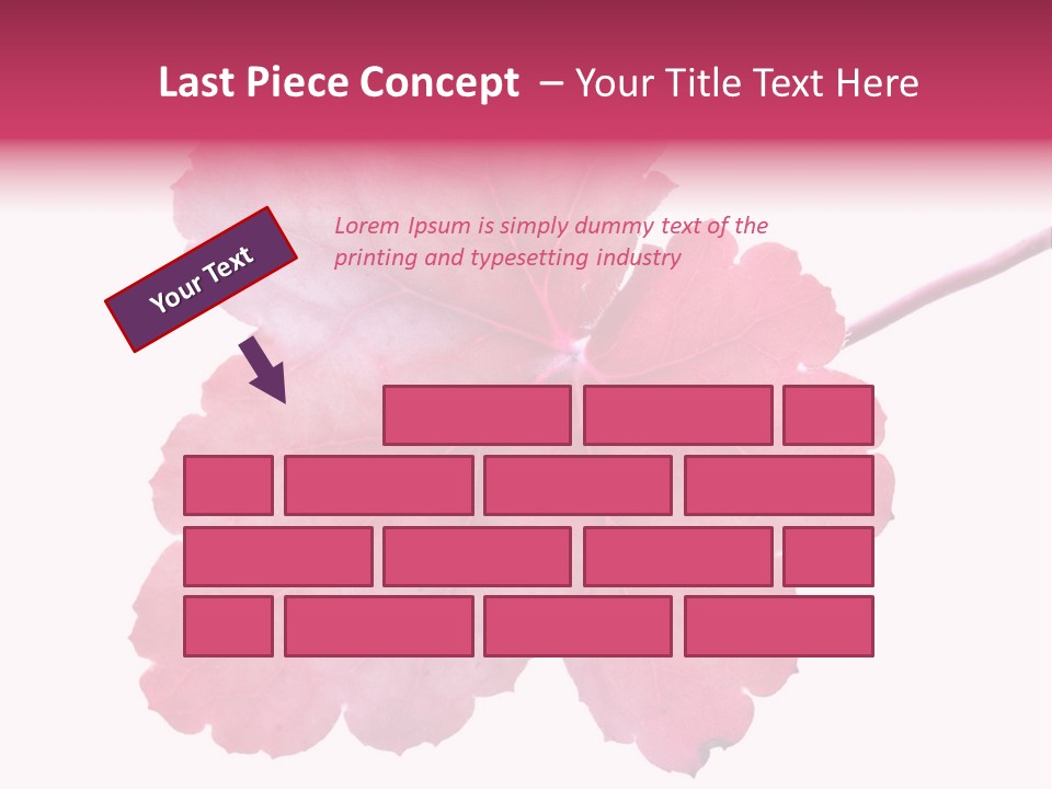 A Magenta Leaf Isolated On A White Background PowerPoint Template