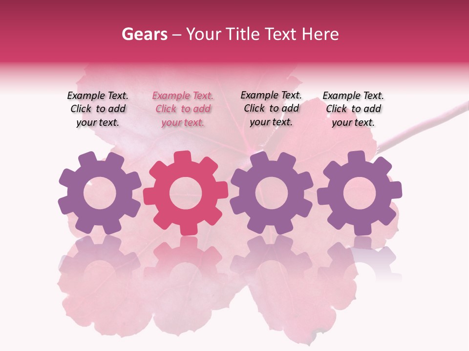 A Magenta Leaf Isolated On A White Background PowerPoint Template