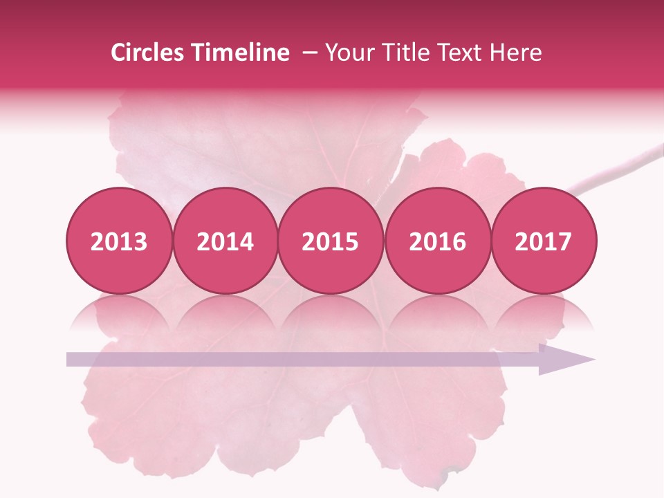 A Magenta Leaf Isolated On A White Background PowerPoint Template