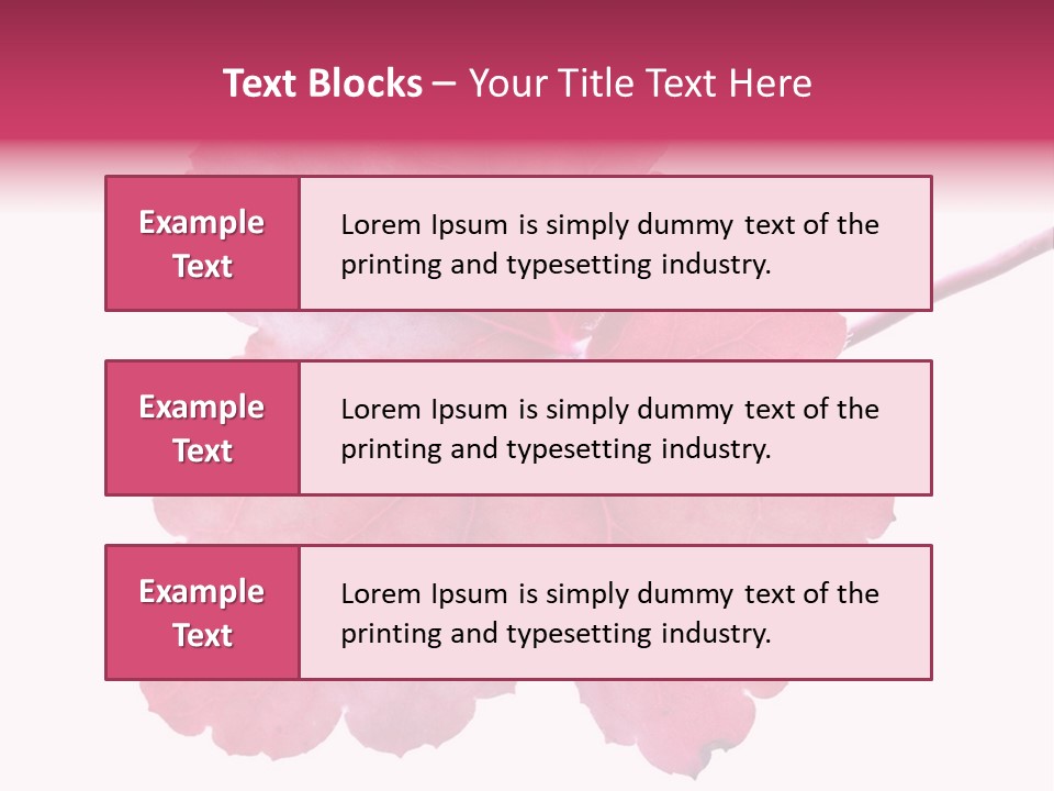 A Magenta Leaf Isolated On A White Background PowerPoint Template