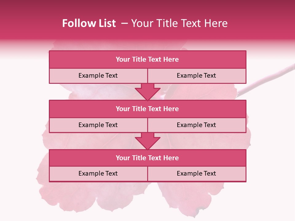 A Magenta Leaf Isolated On A White Background PowerPoint Template