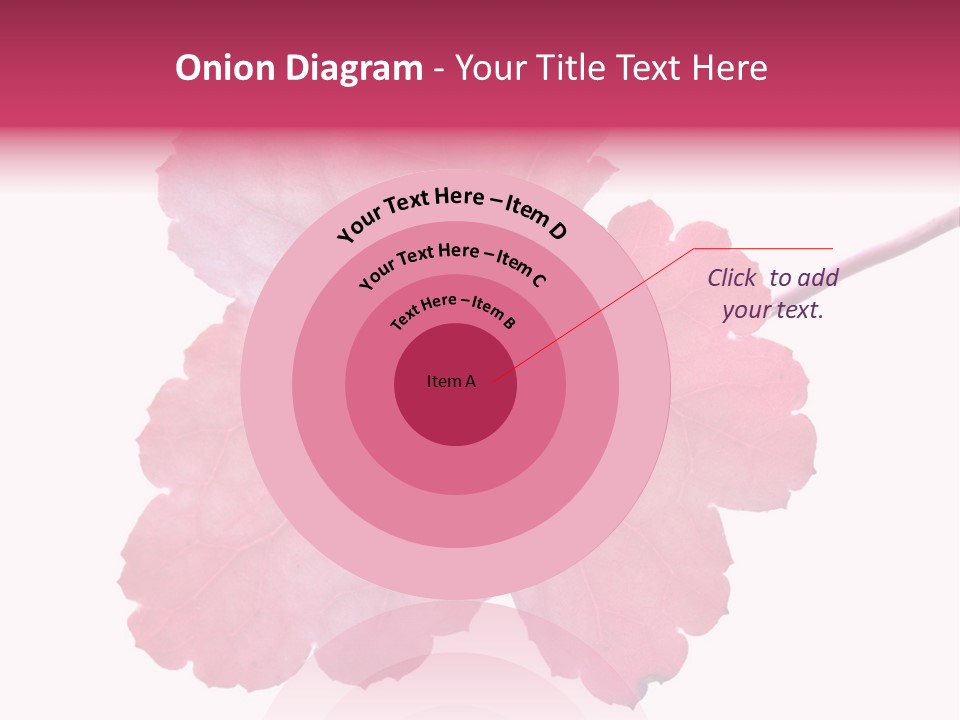 A Magenta Leaf Isolated On A White Background PowerPoint Template