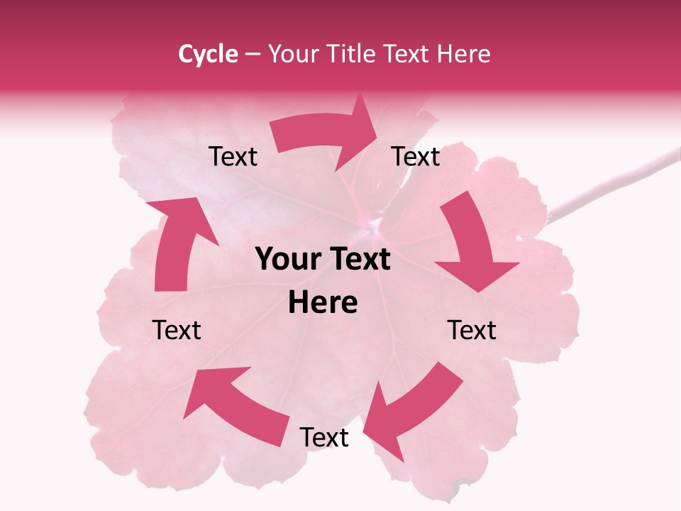 A Magenta Leaf Isolated On A White Background PowerPoint Template