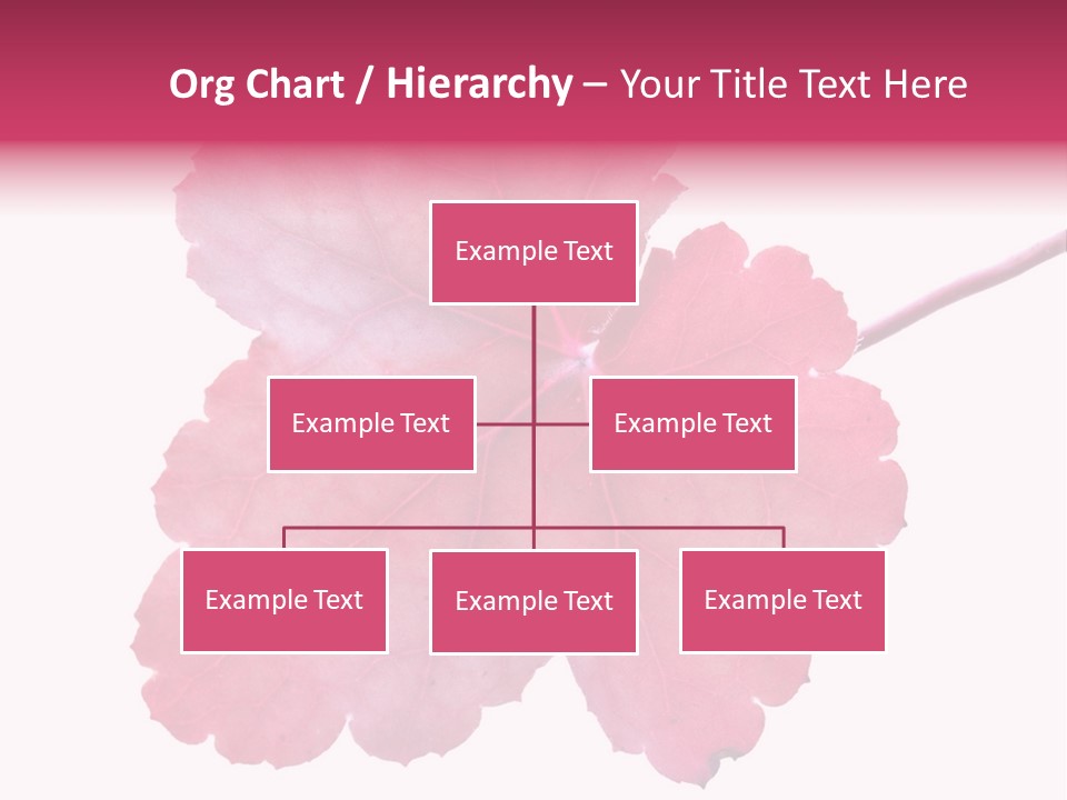 A Magenta Leaf Isolated On A White Background PowerPoint Template