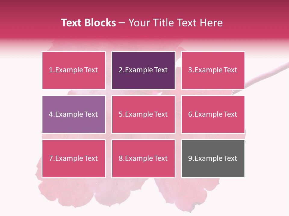 A Magenta Leaf Isolated On A White Background PowerPoint Template