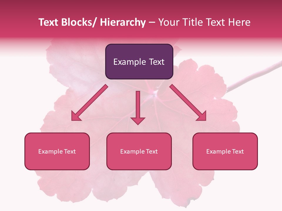 A Magenta Leaf Isolated On A White Background PowerPoint Template