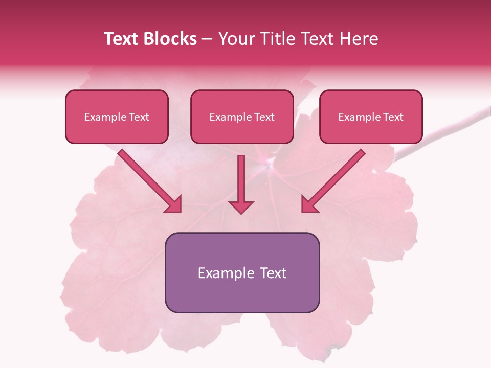 A Magenta Leaf Isolated On A White Background PowerPoint Template
