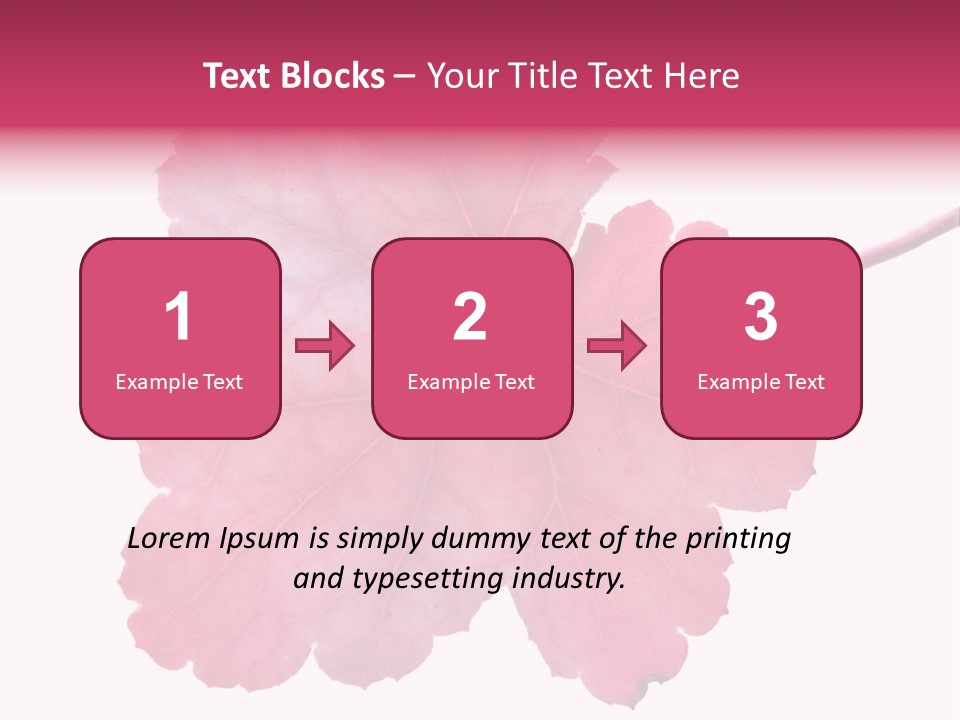 A Magenta Leaf Isolated On A White Background PowerPoint Template