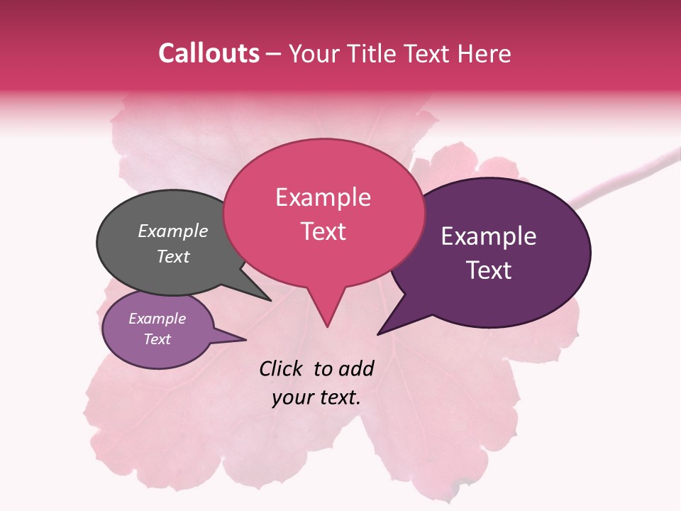 A Magenta Leaf Isolated On A White Background PowerPoint Template