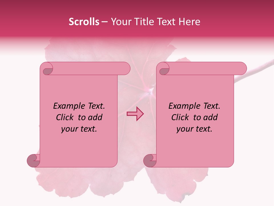 A Magenta Leaf Isolated On A White Background PowerPoint Template