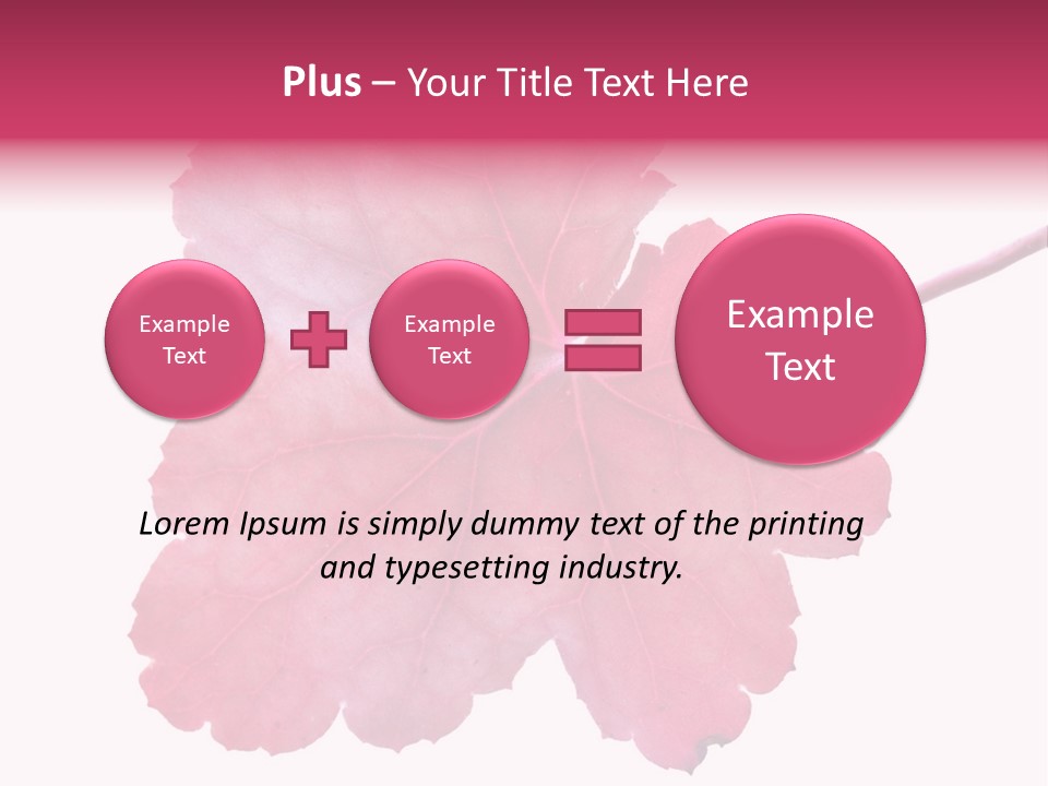 A Magenta Leaf Isolated On A White Background PowerPoint Template