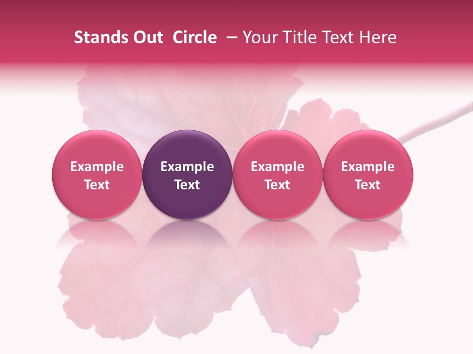 A Magenta Leaf Isolated On A White Background PowerPoint Template