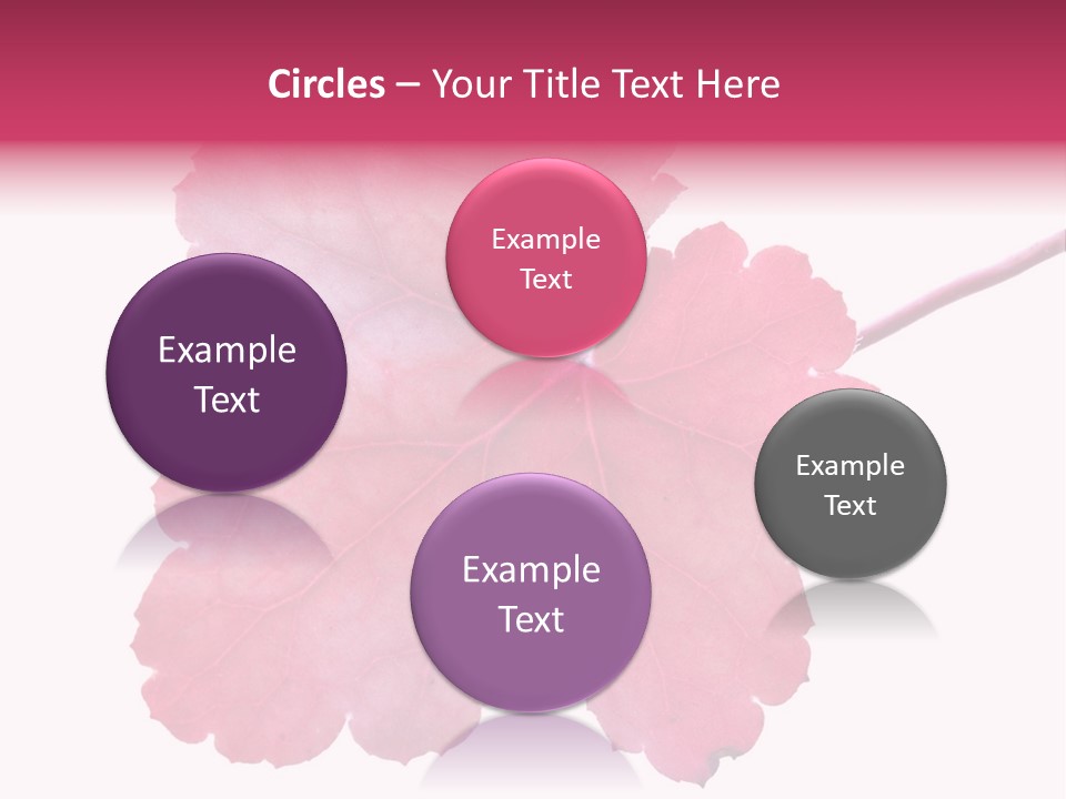 A Magenta Leaf Isolated On A White Background PowerPoint Template