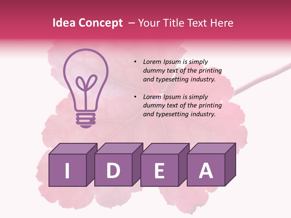 A Magenta Leaf Isolated On A White Background PowerPoint Template