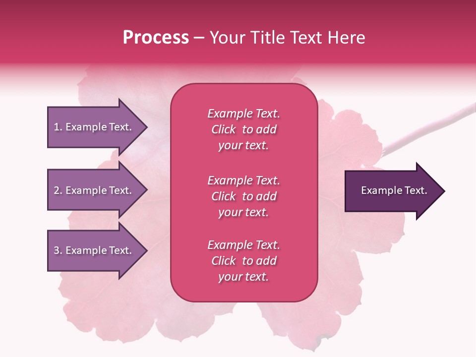 A Magenta Leaf Isolated On A White Background PowerPoint Template