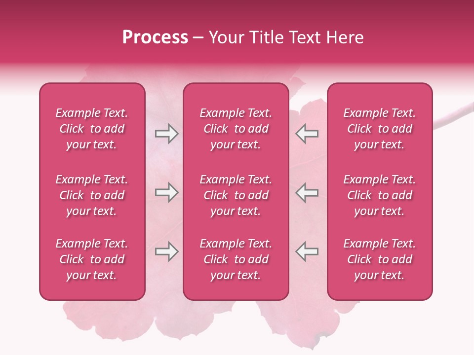 A Magenta Leaf Isolated On A White Background PowerPoint Template