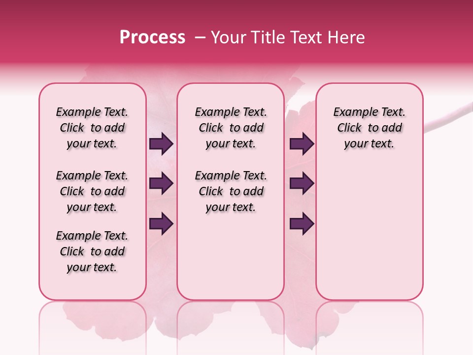 A Magenta Leaf Isolated On A White Background PowerPoint Template