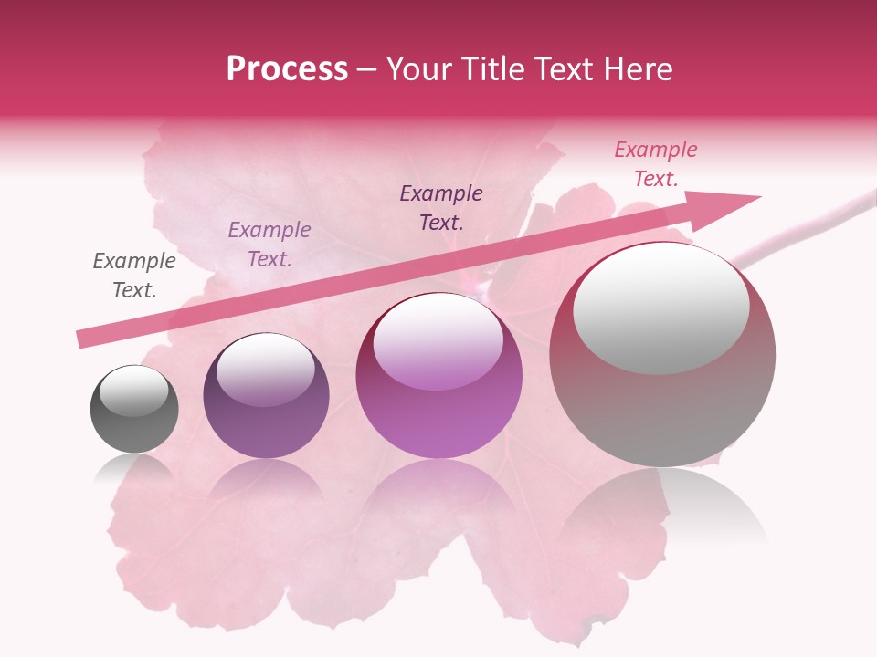 A Magenta Leaf Isolated On A White Background PowerPoint Template