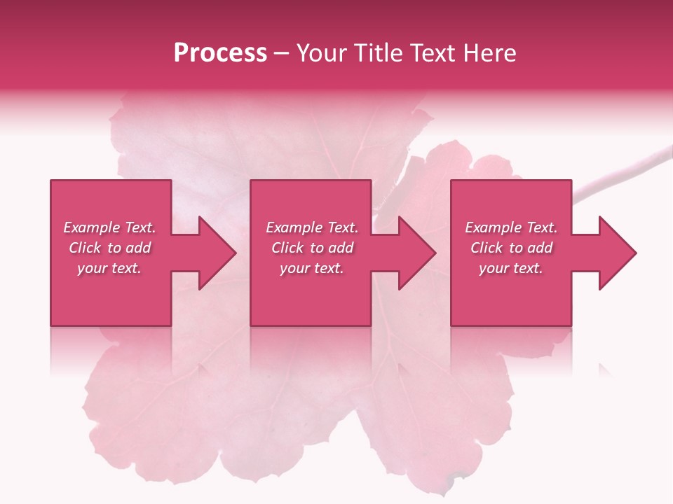 A Magenta Leaf Isolated On A White Background PowerPoint Template