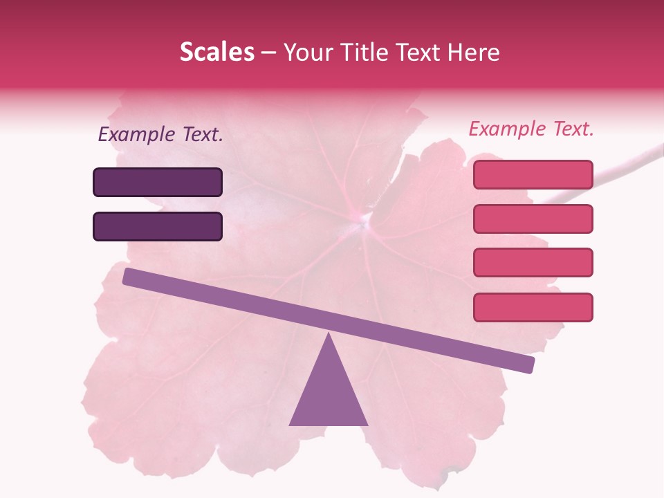 A Magenta Leaf Isolated On A White Background PowerPoint Template