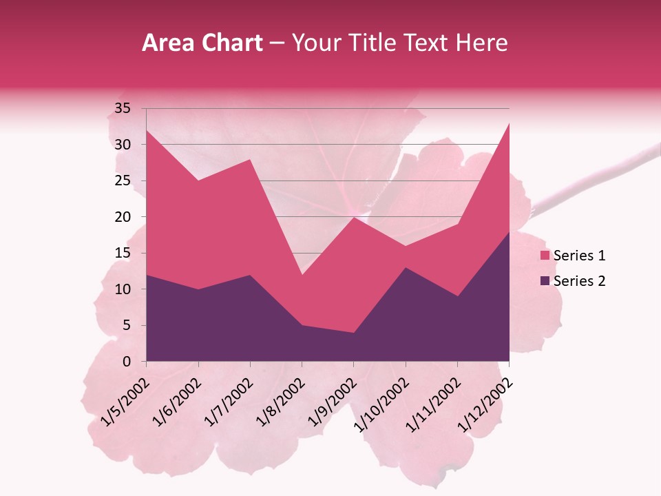 A Magenta Leaf Isolated On A White Background PowerPoint Template