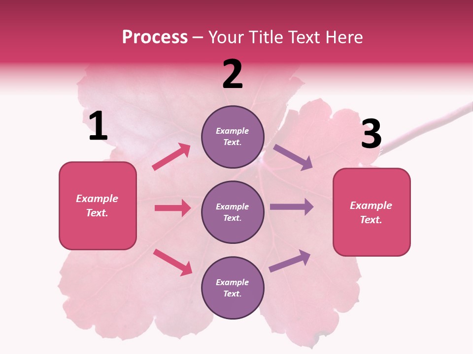 A Magenta Leaf Isolated On A White Background PowerPoint Template