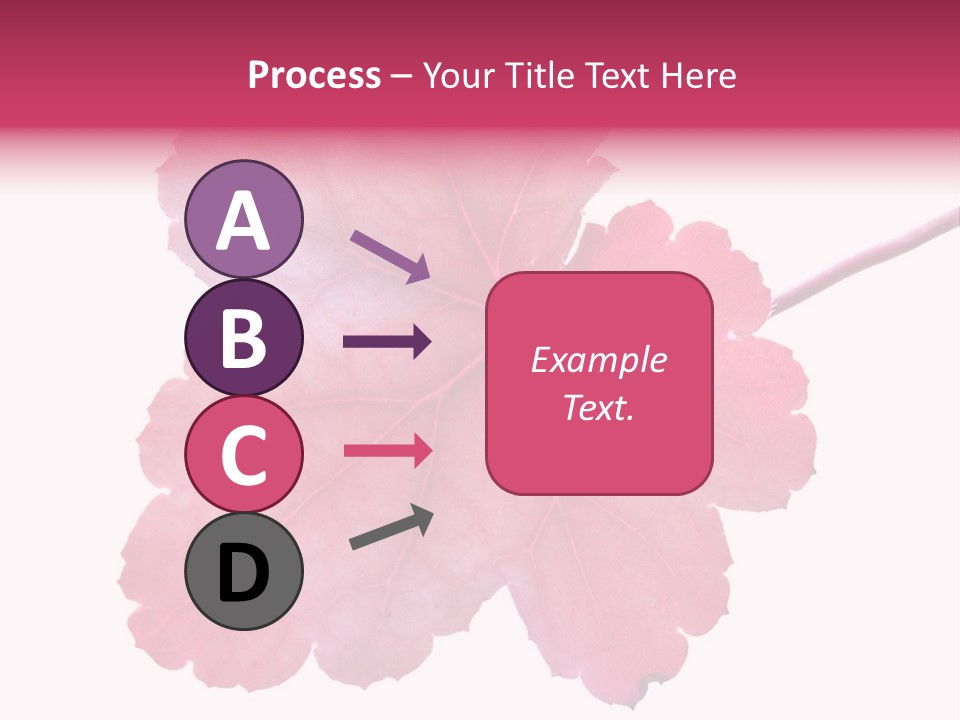 A Magenta Leaf Isolated On A White Background PowerPoint Template