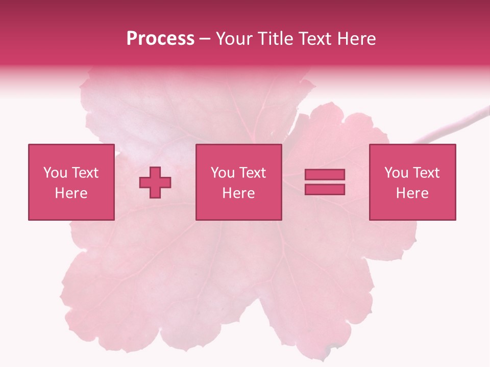 A Magenta Leaf Isolated On A White Background PowerPoint Template