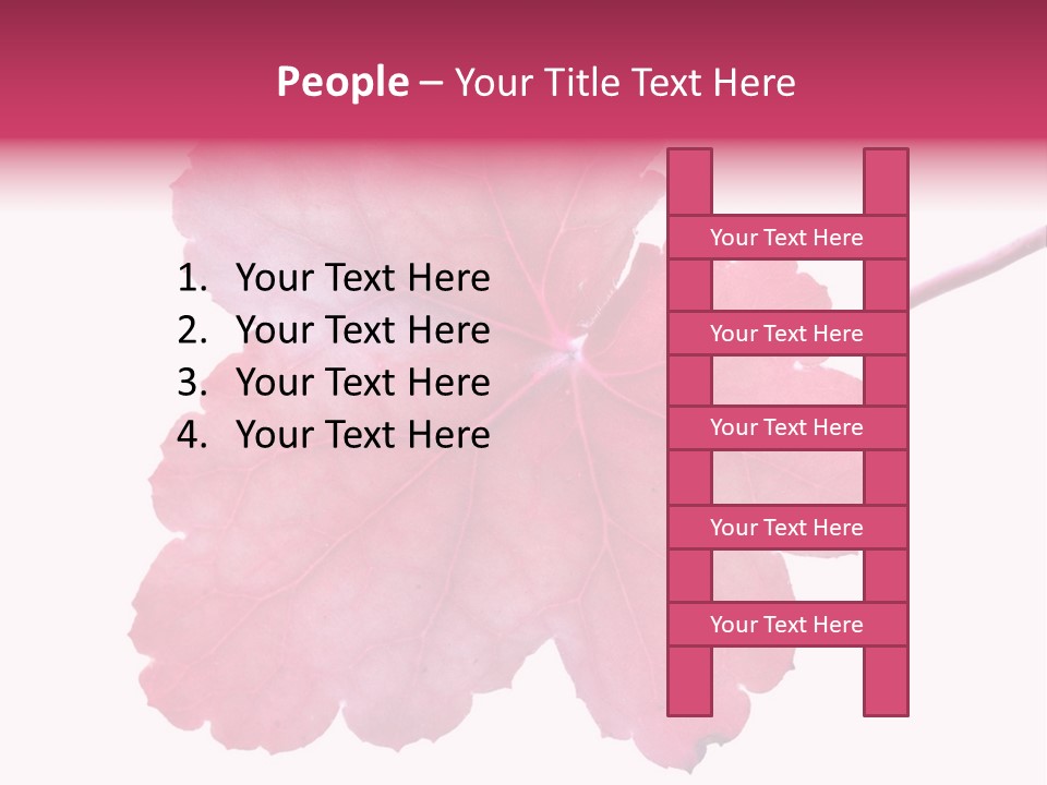 A Magenta Leaf Isolated On A White Background PowerPoint Template