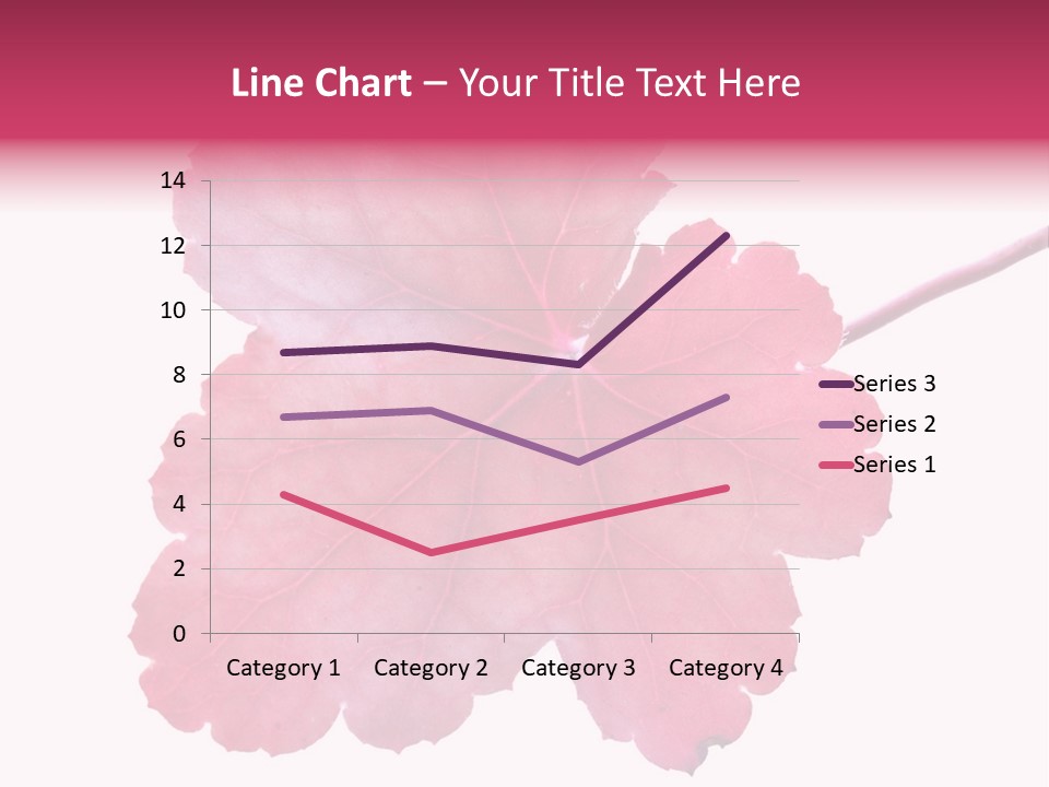 A Magenta Leaf Isolated On A White Background PowerPoint Template