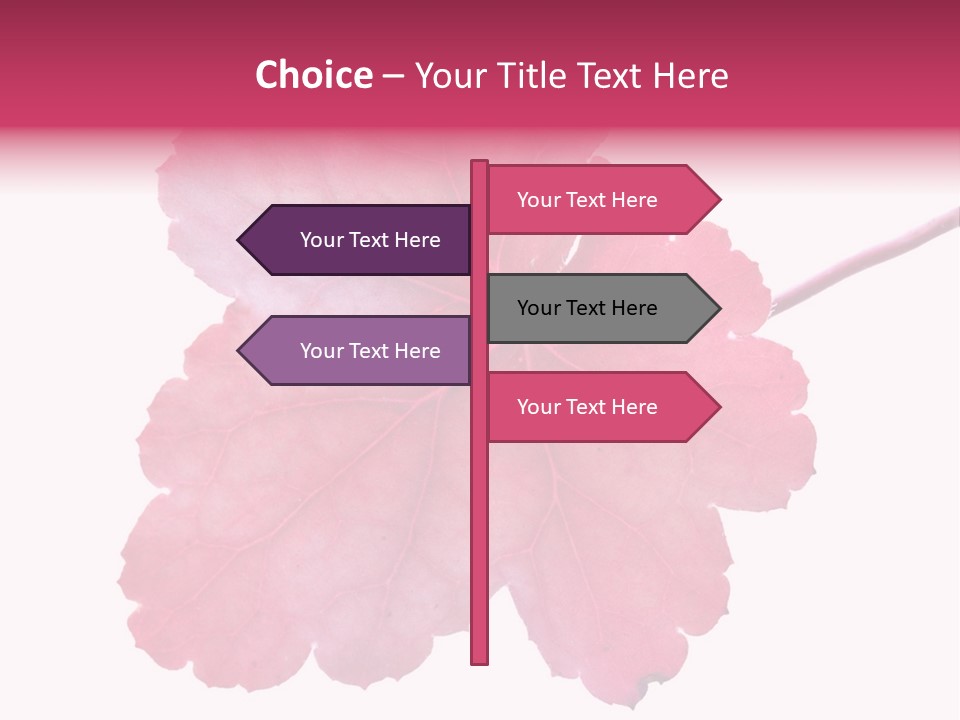 A Magenta Leaf Isolated On A White Background PowerPoint Template