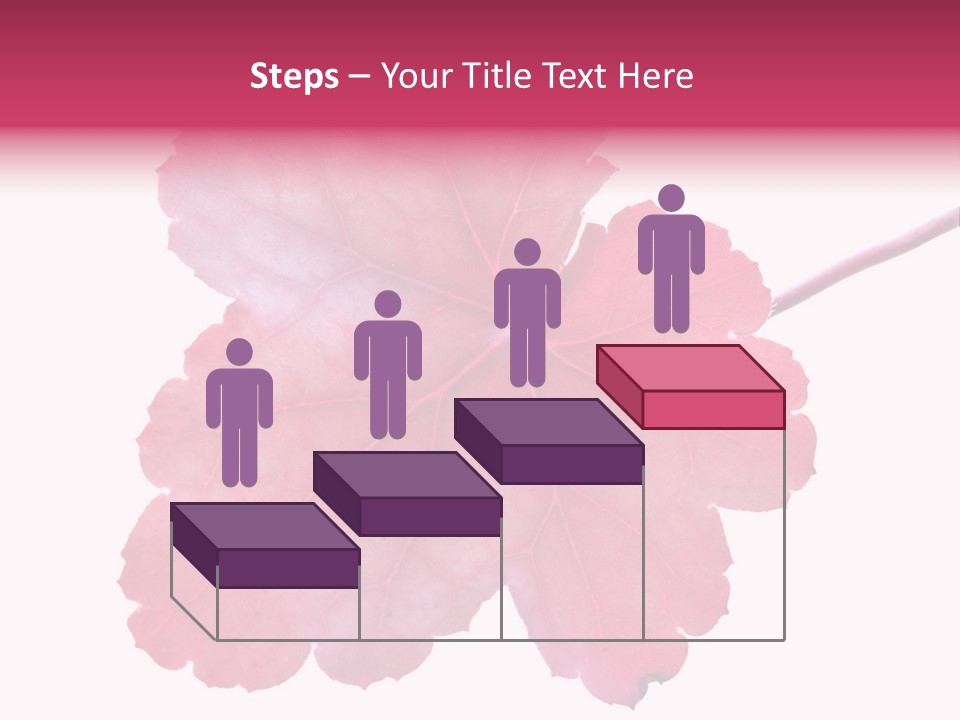 A Magenta Leaf Isolated On A White Background PowerPoint Template