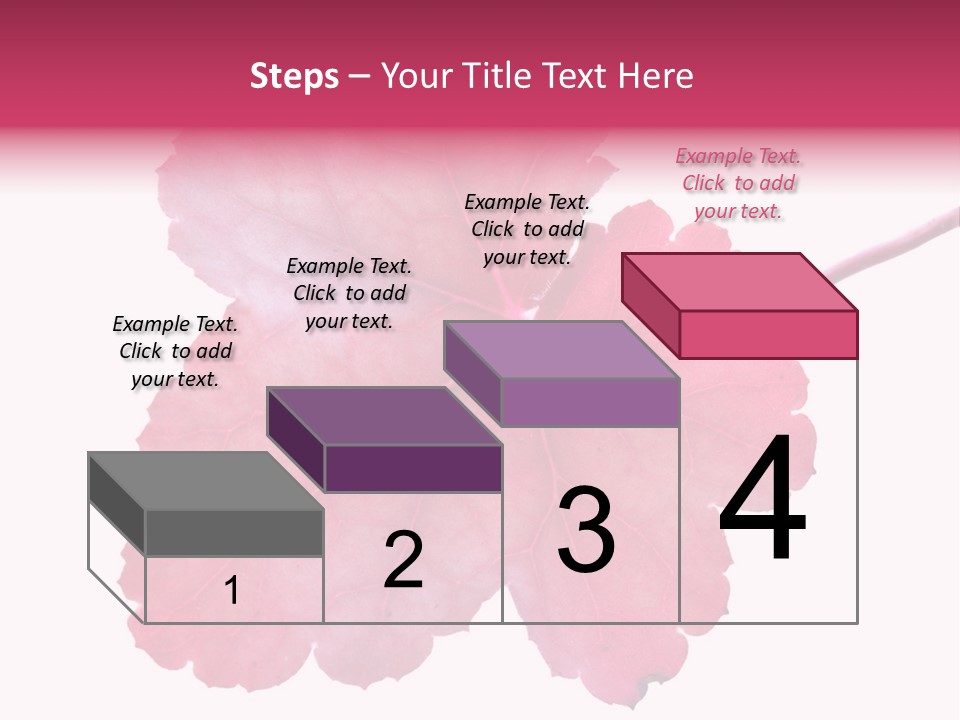 A Magenta Leaf Isolated On A White Background PowerPoint Template