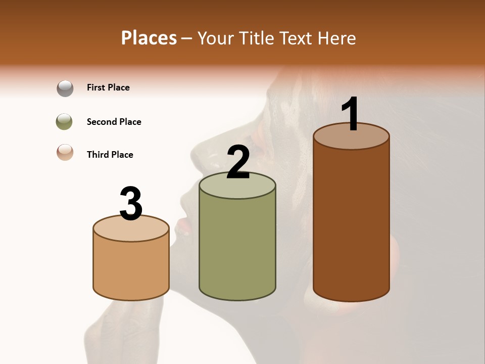 Facial Treatment (Head) PowerPoint Template