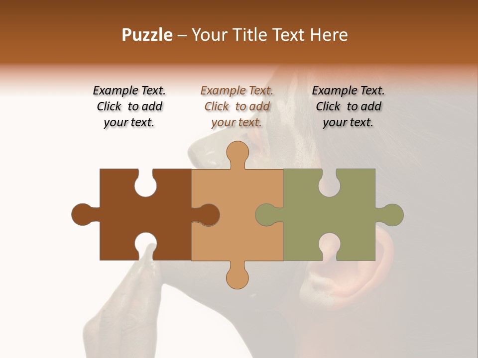 Facial Treatment (Head) PowerPoint Template